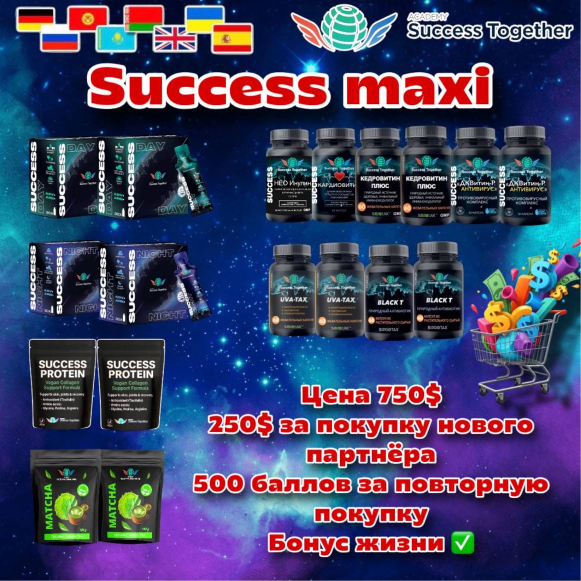 Success Maxi